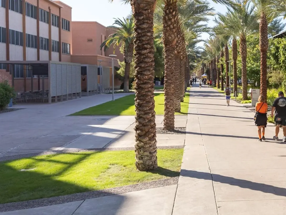 A palm-lined walkway on the ASU Tempe campus